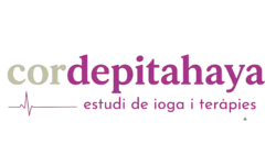 Iniciando actualización de WordPress…