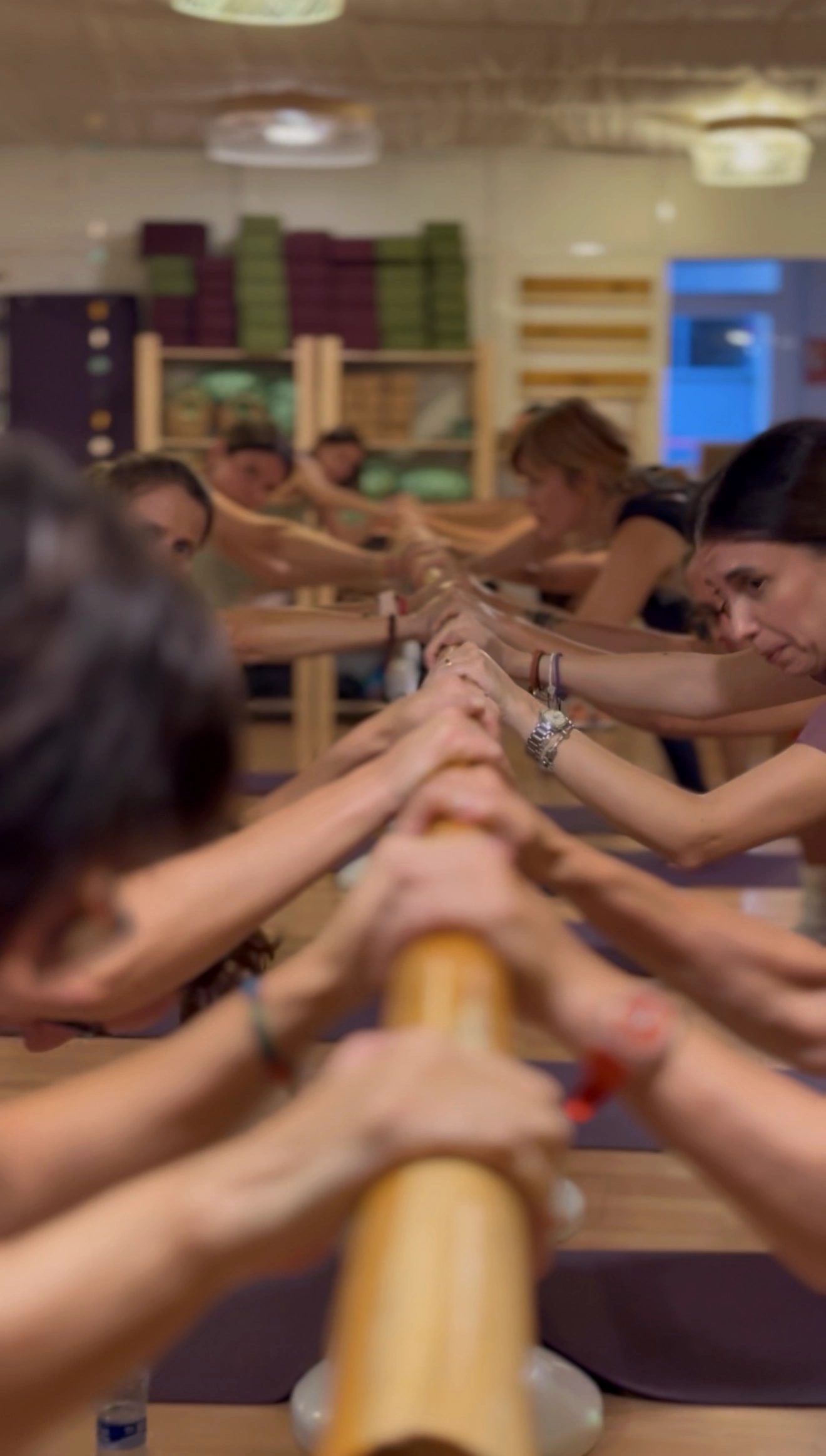 Classe de Barre en grup amb treball a la barra a Cordepitahaya