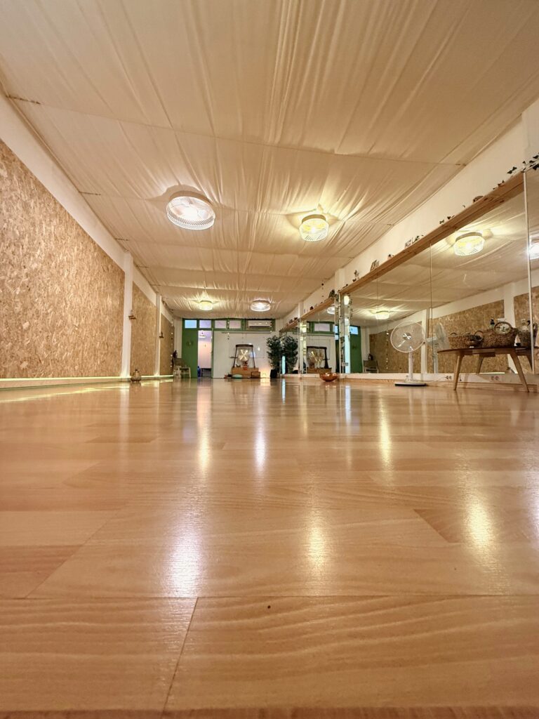 Sala tribu buida de Cordepitahaya a Granollers