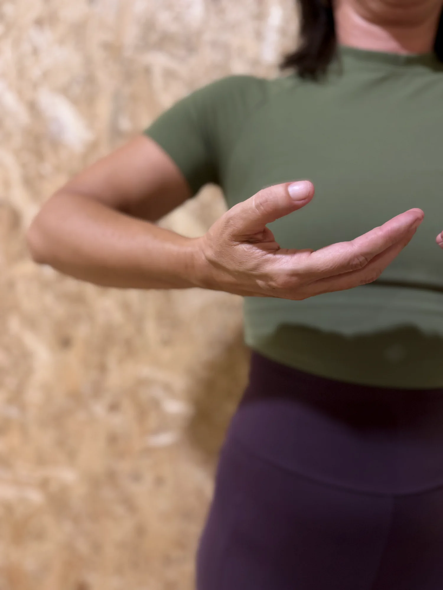 Pràctica de Txi Kung i Qigong a Cordepitahaya, Granollers